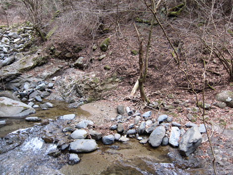 20200204hike (372)